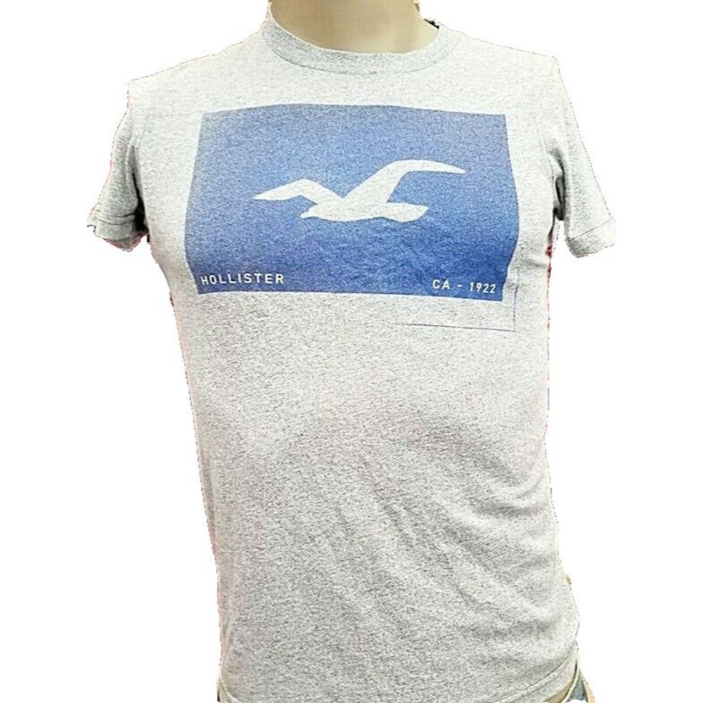 Hollister T-Shirt Size S Gray Seagull Graphic CA-1922 Iconic Logo
